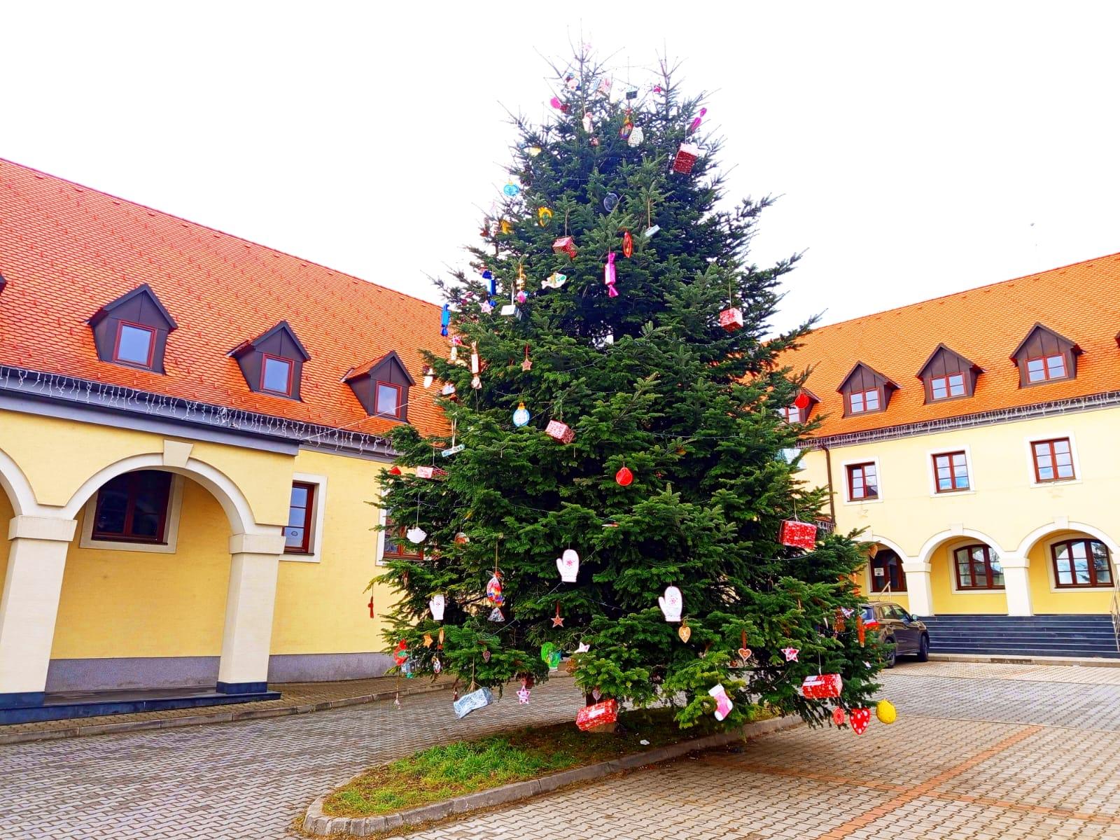Jedlička z Rostovskej ulice